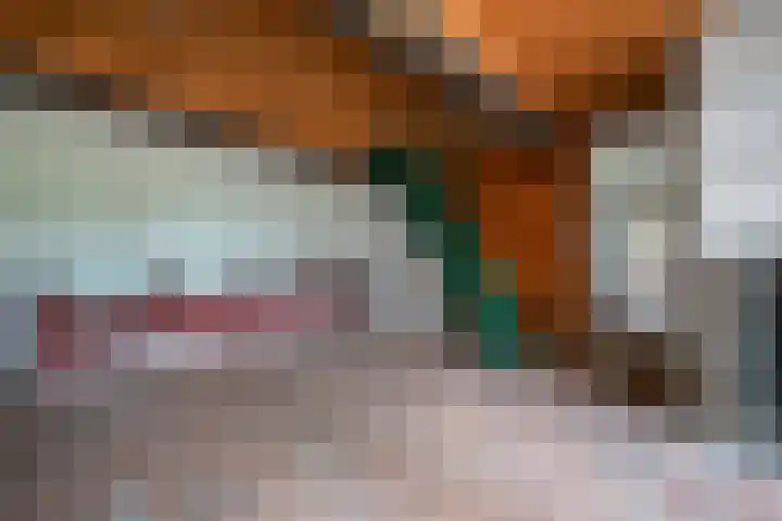 Waarderweg 22 Sint Odiliënberg thumbnail 38