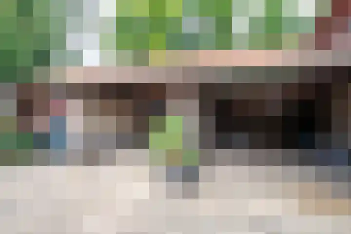Waarderweg 22 Sint Odiliënberg thumbnail 4