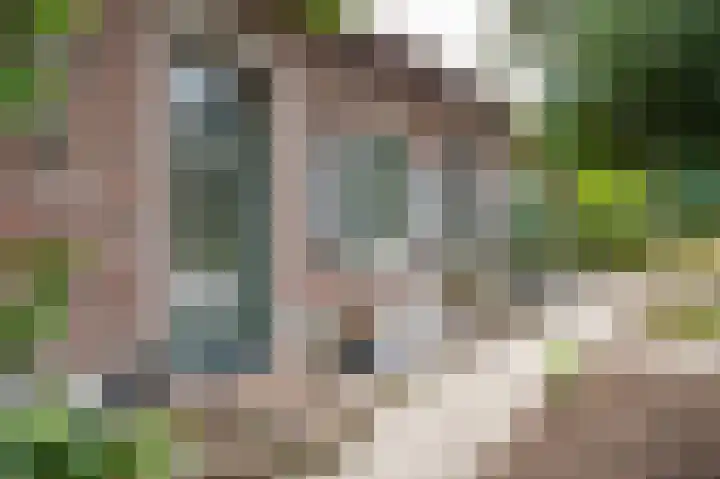 Waarderweg 22 Sint Odiliënberg thumbnail 5