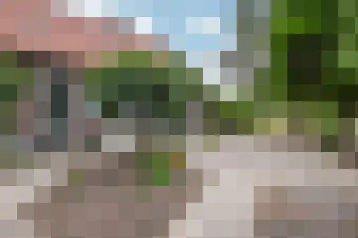 Waarderweg 22 Sint Odiliënberg thumbnail 6
