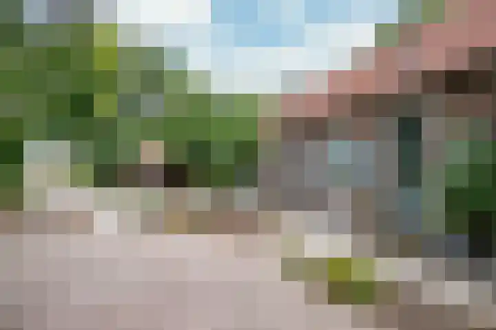 Waarderweg 22 Sint Odiliënberg thumbnail 8