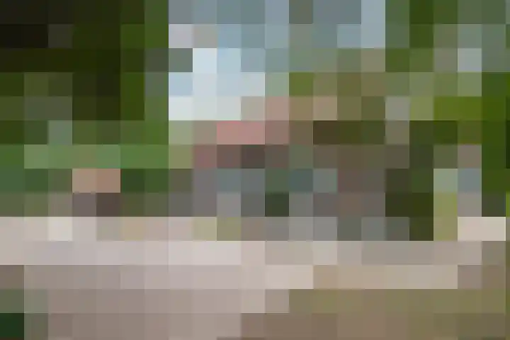 Waarderweg 22 Sint Odiliënberg thumbnail 9