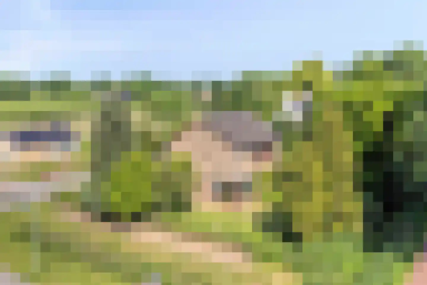 Waardhuizenstraat 2 Beuningen Gld thumbnail 32