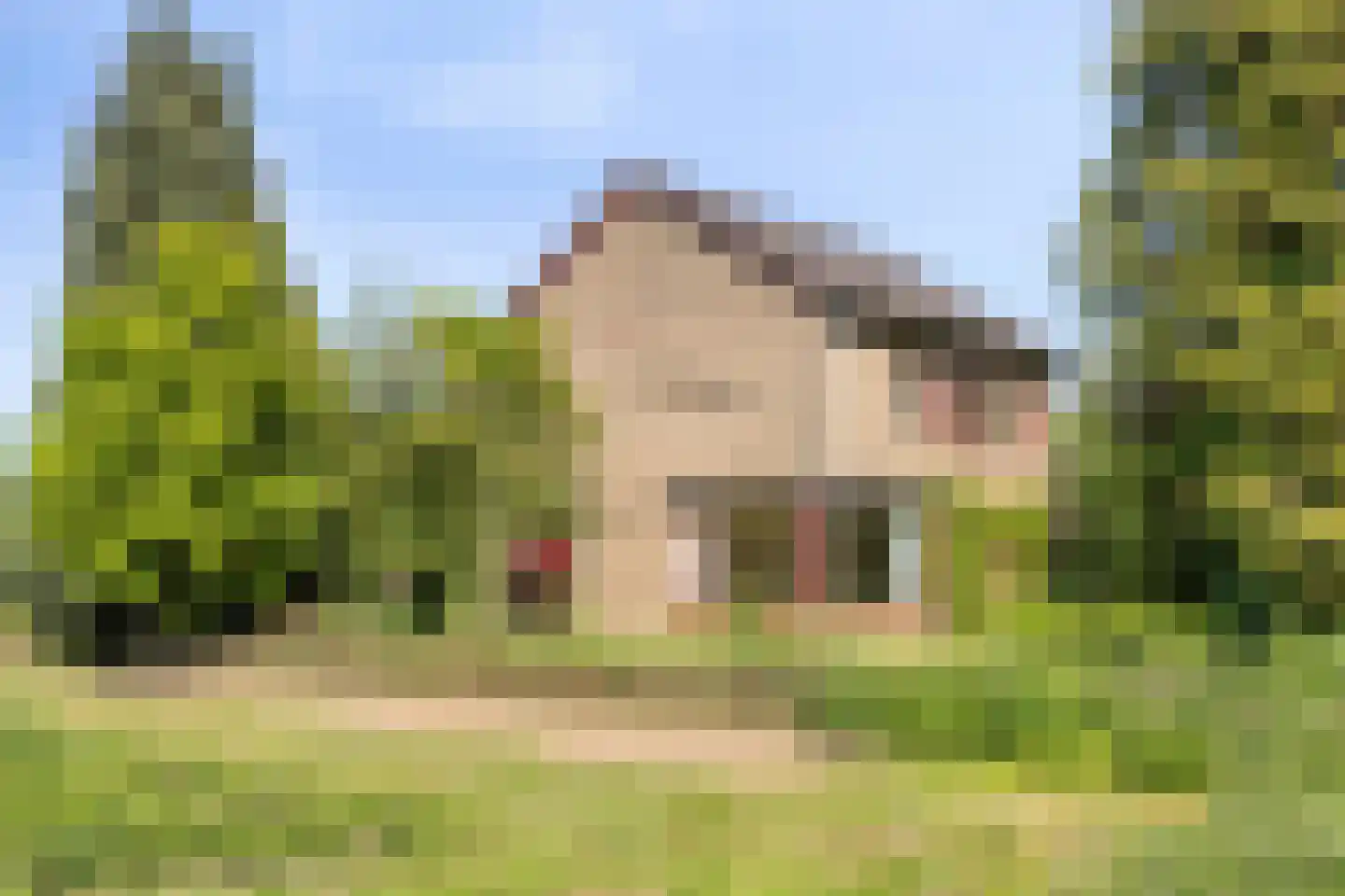 Waardhuizenstraat 2 Beuningen Gld thumbnail 33