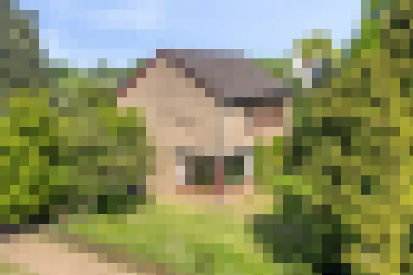 Waardhuizenstraat 2 Beuningen Gld thumbnail 34