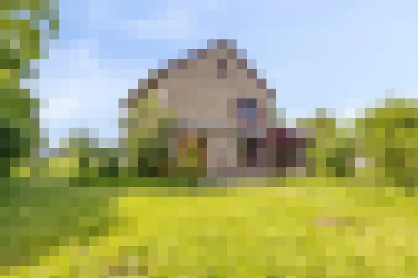 Waardhuizenstraat 2 Beuningen Gld thumbnail 38