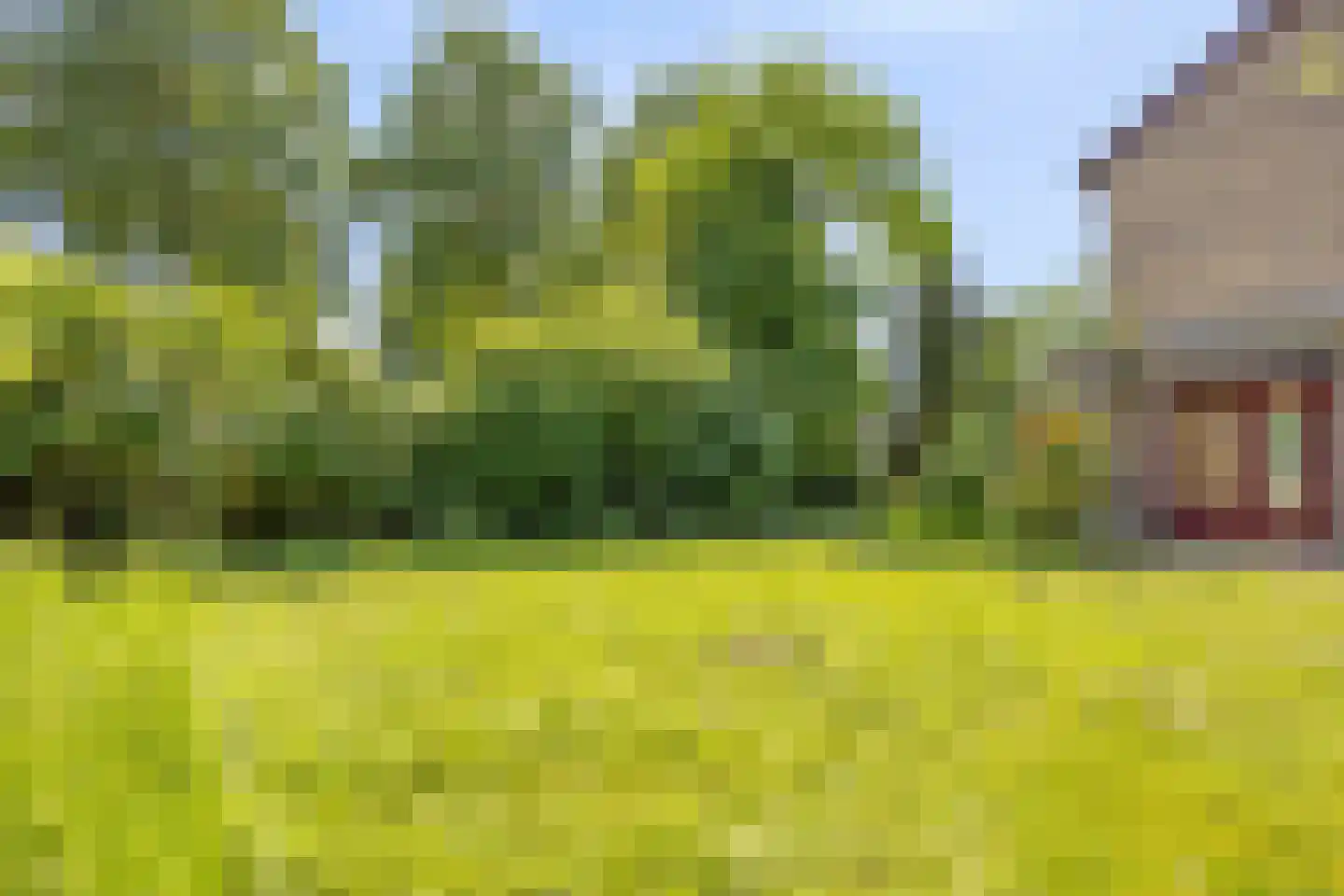Waardhuizenstraat 2 Beuningen Gld thumbnail 39