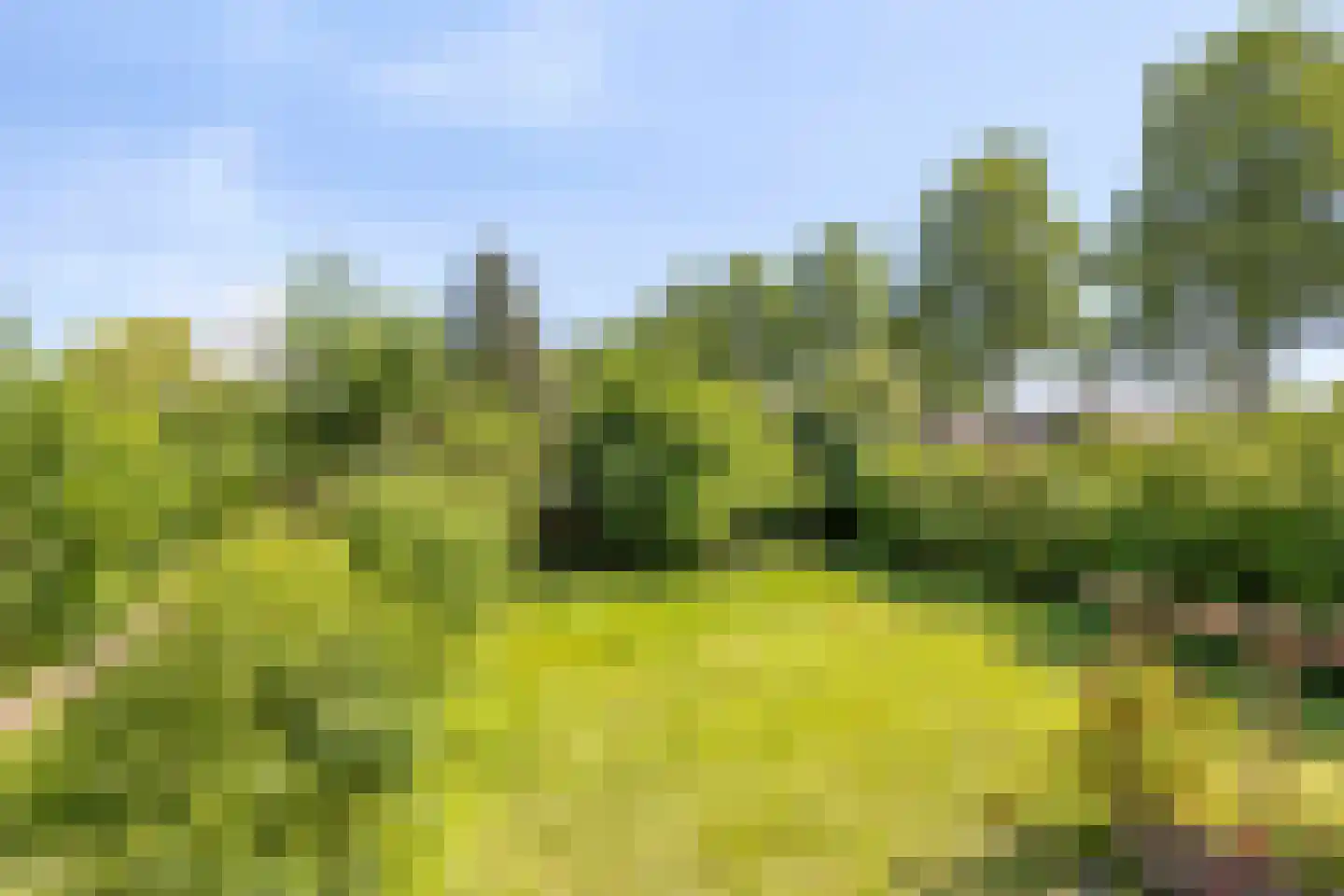 Waardhuizenstraat 2 Beuningen Gld thumbnail 41
