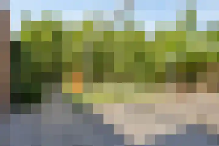 Waardijn 2 Uden thumbnail 33