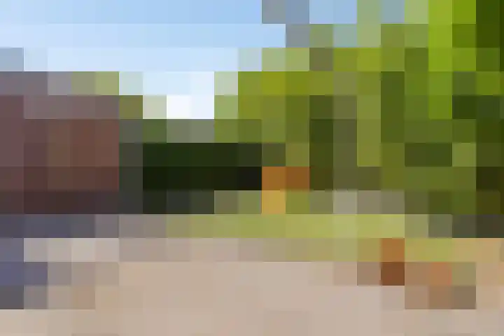 Waardijn 2 Uden thumbnail 34