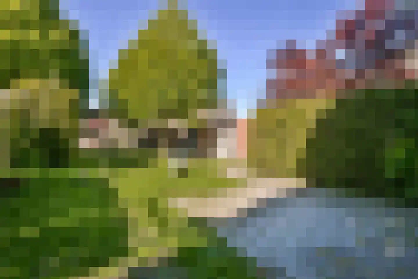 Waardijnstraat 47 Weesp thumbnail 34