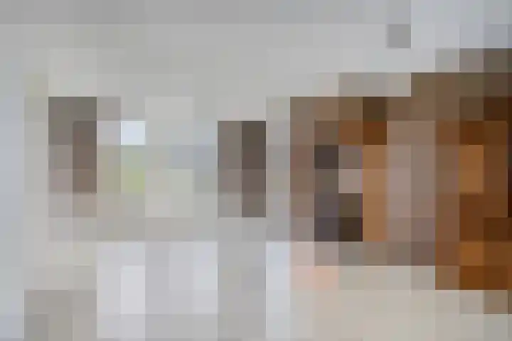 Waardjesweg 4 Asten thumbnail 12