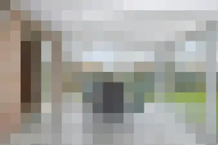 Waardjesweg 4 Asten thumbnail 15
