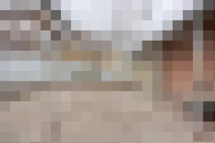 Waardjesweg 4 Asten thumbnail 38