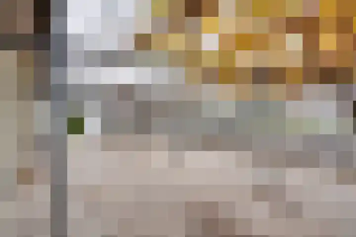 Waardjesweg 4 Asten thumbnail 39
