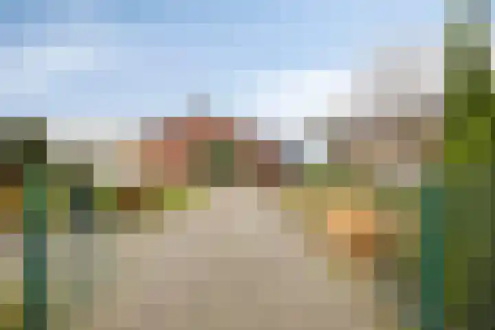 Waardjesweg 4 Asten thumbnail 4