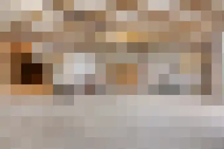 Waardjesweg 4 Asten thumbnail 40