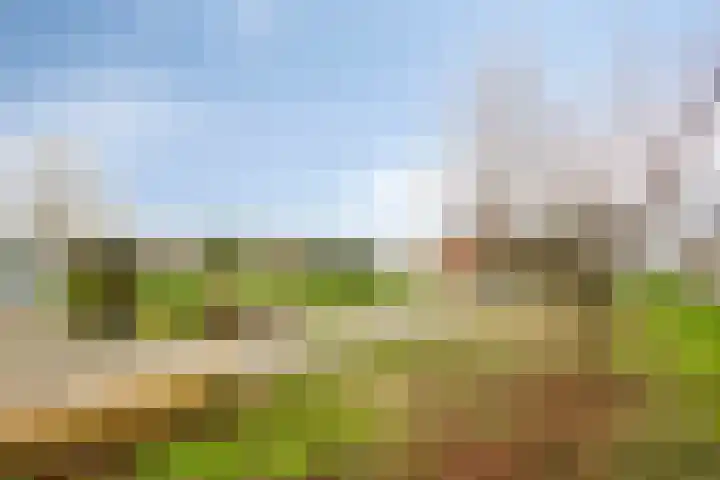 Waardjesweg 4 Asten thumbnail 5
