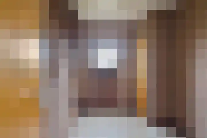 Waardjesweg 4 Asten thumbnail 6