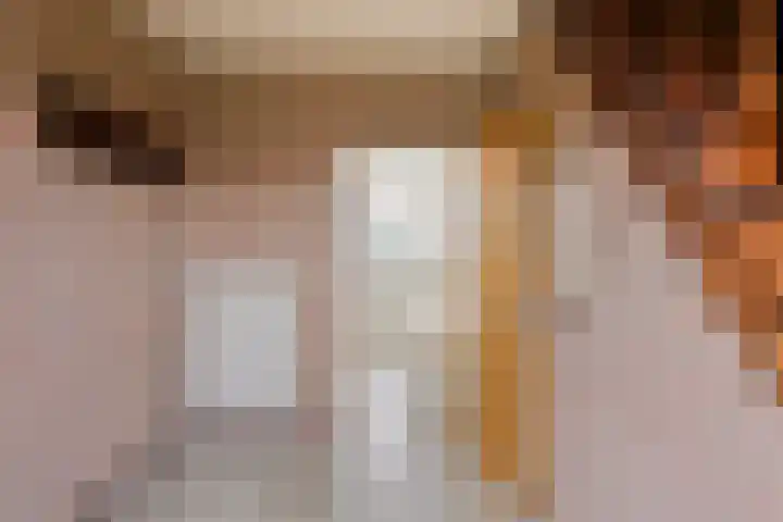 Waardjesweg 4 Asten thumbnail 7