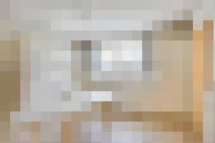 Waardjesweg 4 Asten thumbnail 8