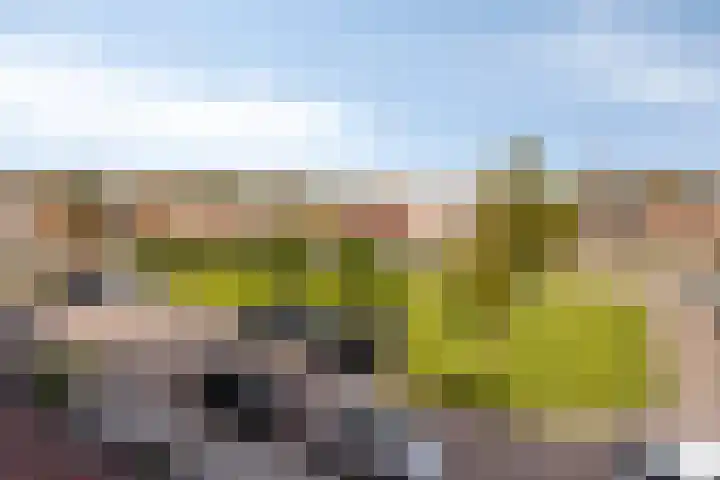Waardmeerhof 3 Edam thumbnail 27
