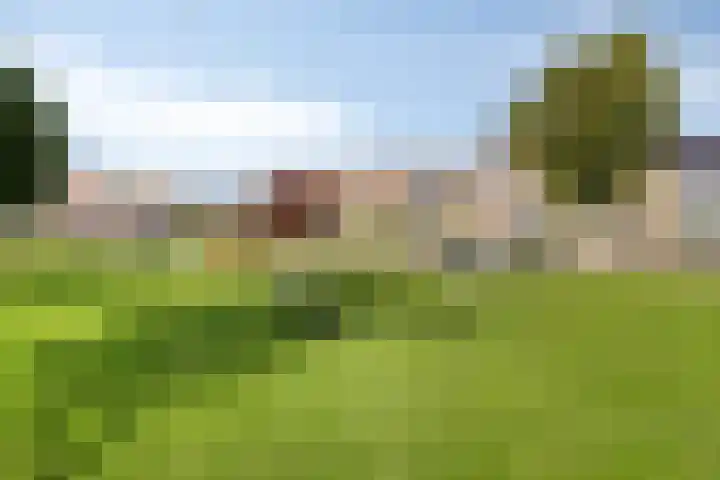 Waardmeerhof 3 Edam thumbnail 30