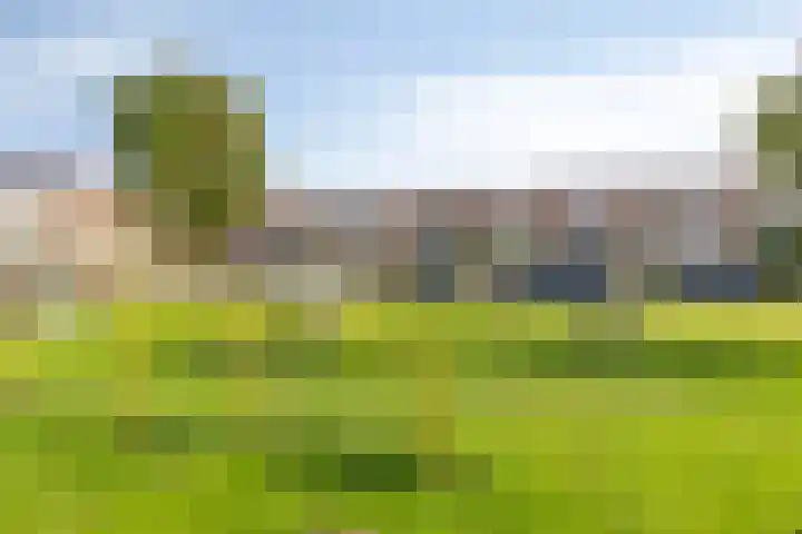 Waardmeerhof 3 Edam thumbnail 31
