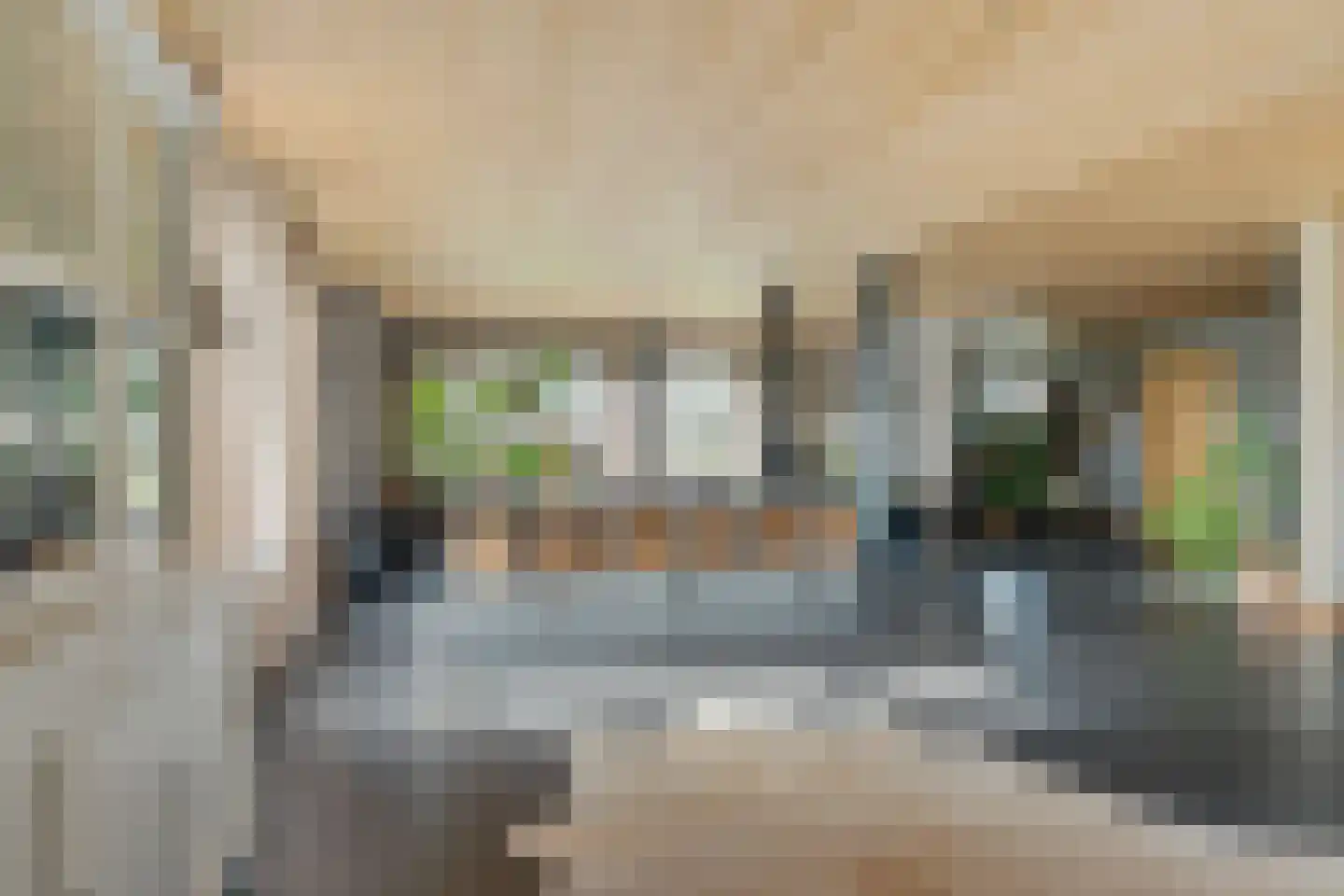 Waardpolderhoofdweg 1 Wieringerwaard thumbnail 14
