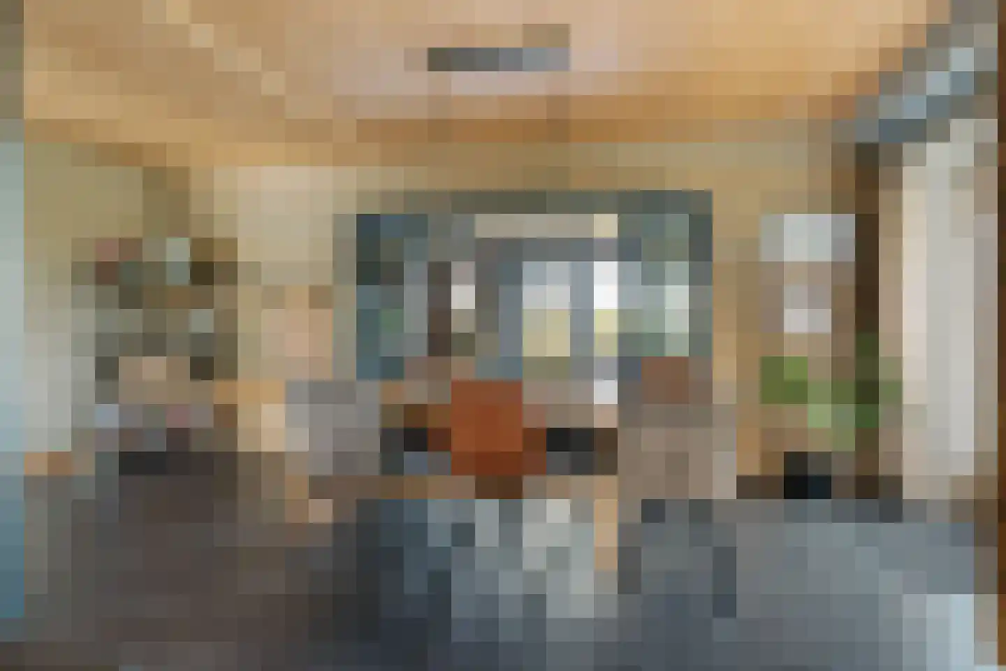 Waardpolderhoofdweg 1 Wieringerwaard thumbnail 22