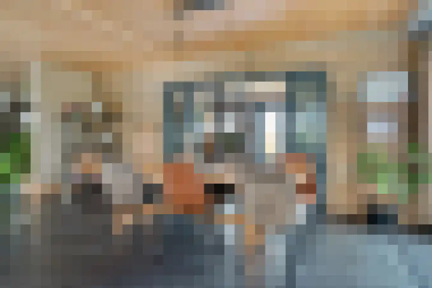 Waardpolderhoofdweg 1 Wieringerwaard thumbnail 25