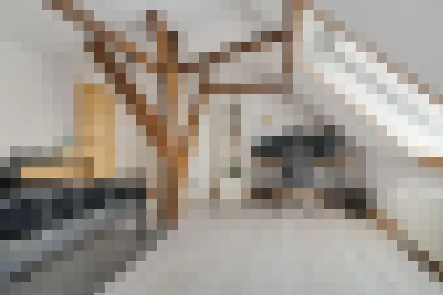 Waardpolderhoofdweg 1 Wieringerwaard thumbnail 30