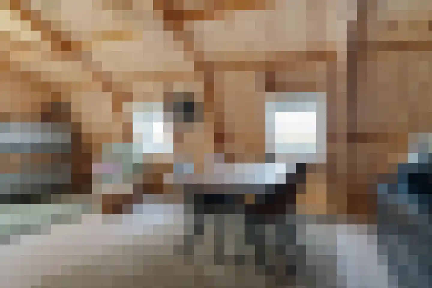 Waardpolderhoofdweg 1 Wieringerwaard thumbnail 46