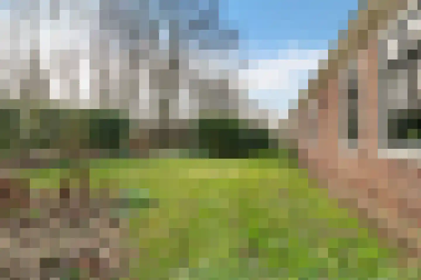 Waardpolderhoofdweg 1 Wieringerwaard thumbnail 55