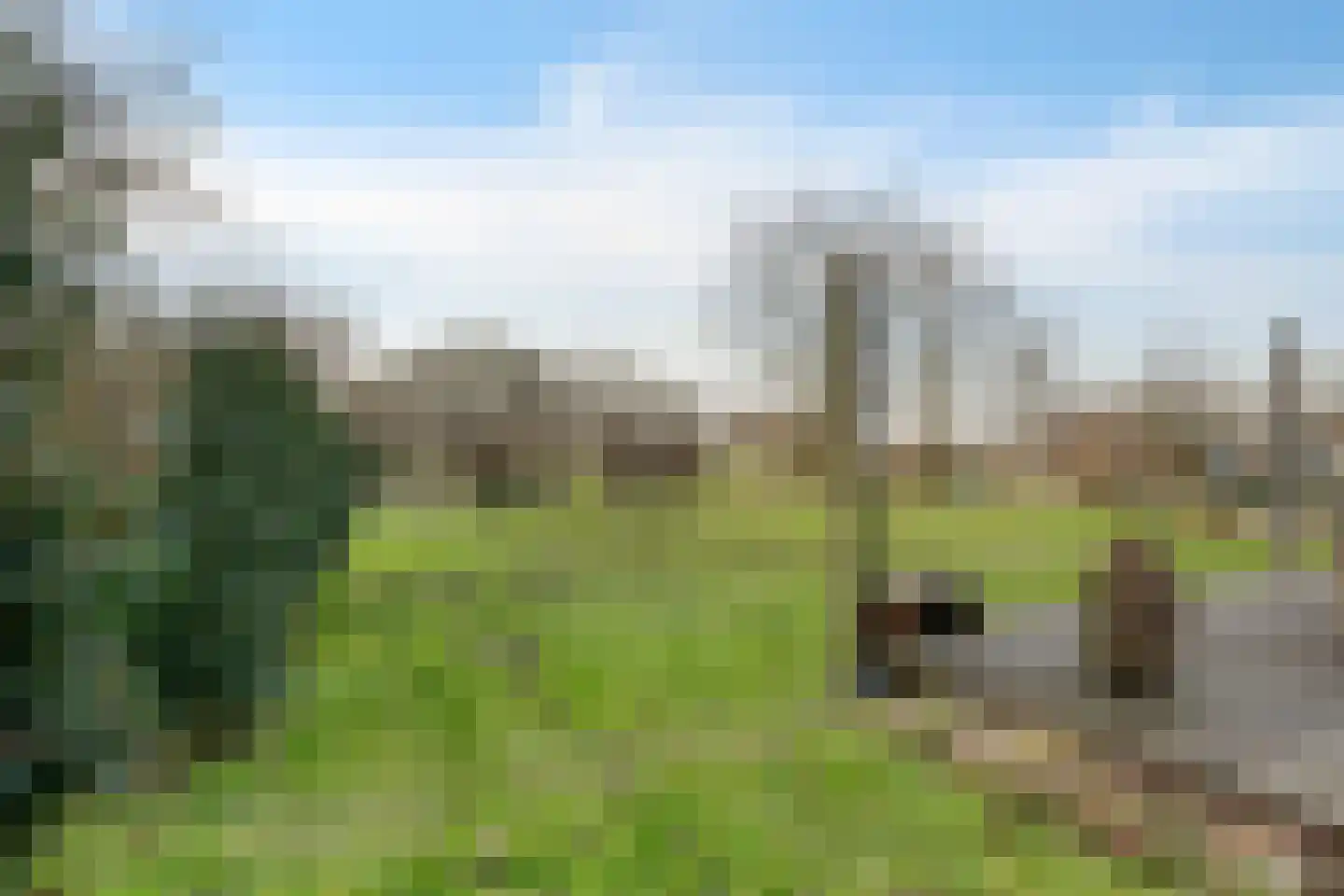 Waardpolderhoofdweg 1 Wieringerwaard thumbnail 56