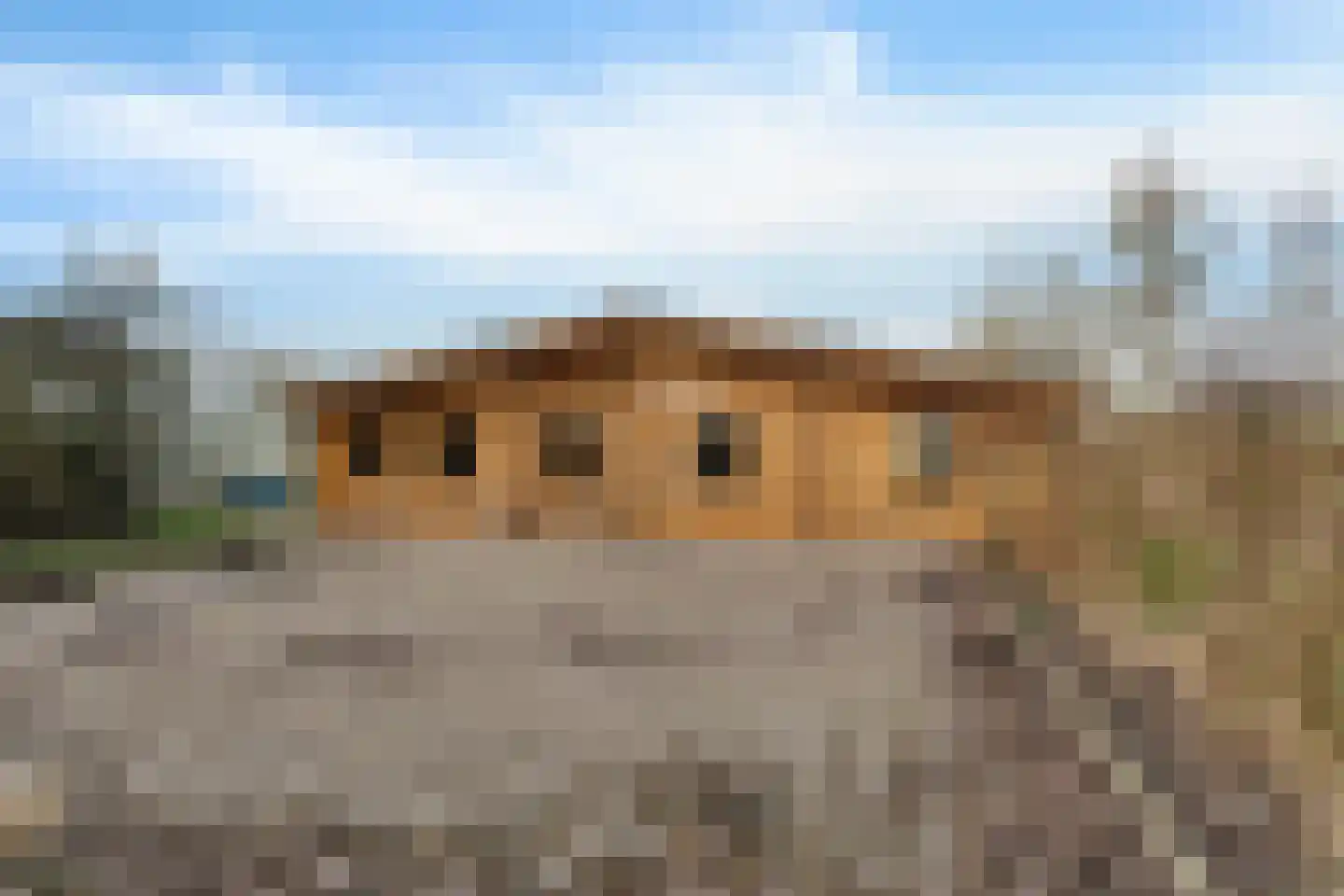 Waardpolderhoofdweg 1 Wieringerwaard thumbnail 59