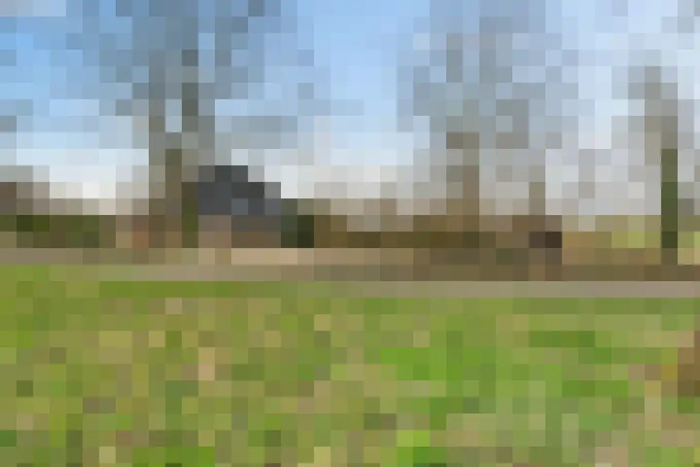 Waardpolderhoofdweg 1 Wieringerwaard thumbnail 65