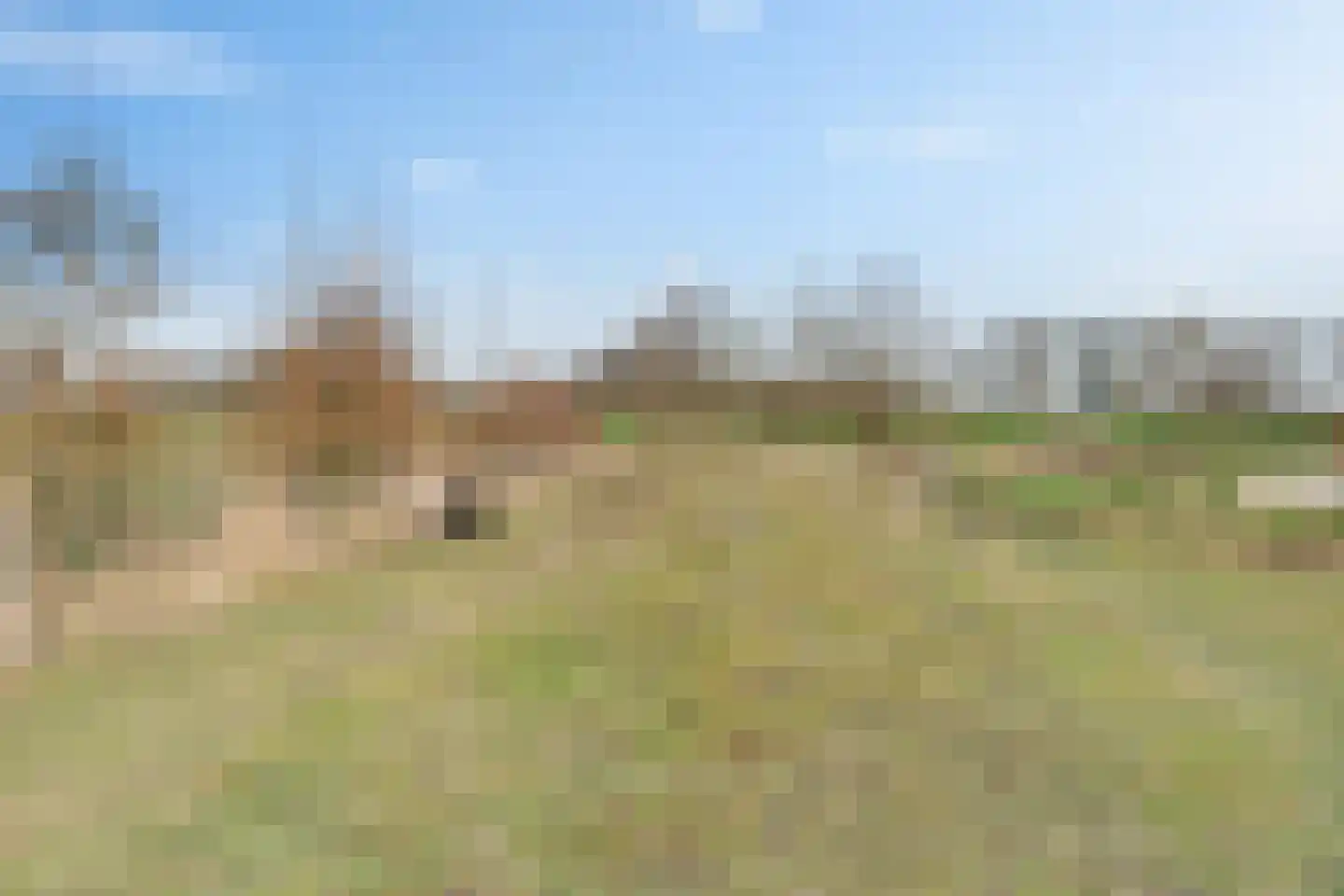 Waardpolderhoofdweg 1 Wieringerwaard thumbnail 70