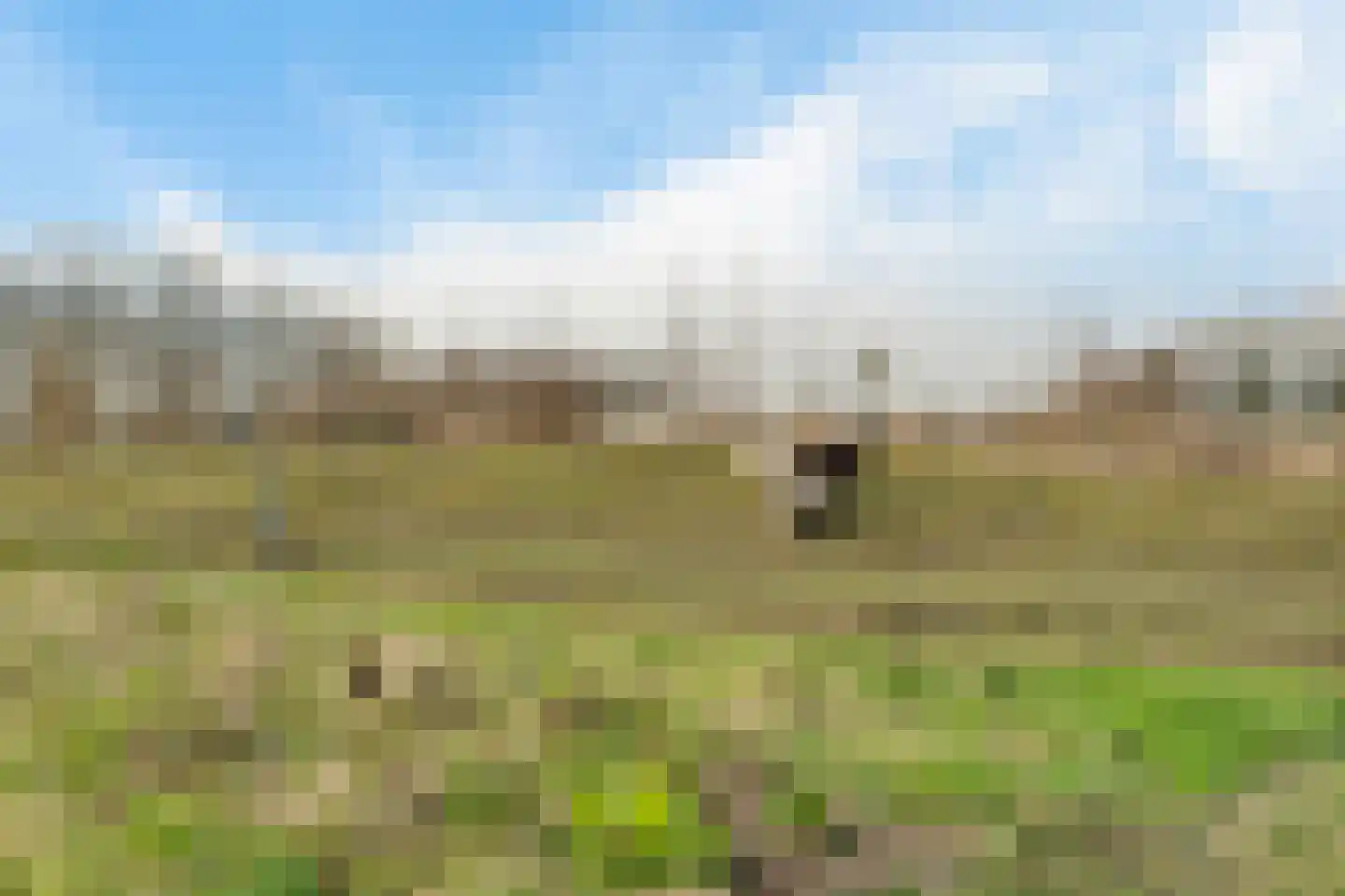 Waardpolderhoofdweg 1 Wieringerwaard thumbnail 74