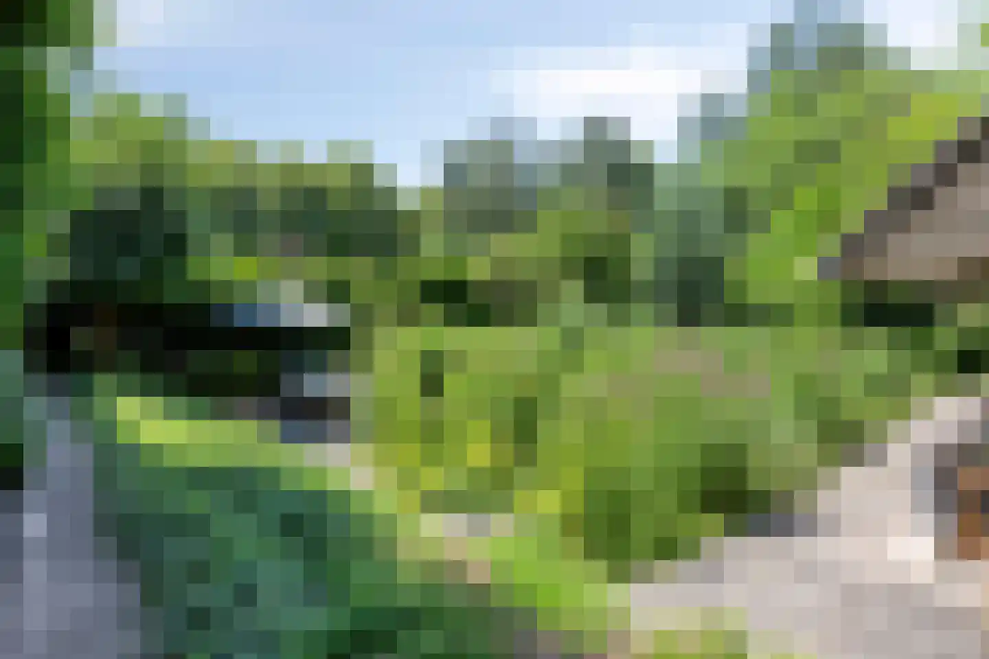 Waardsedijk 102 Oudewater thumbnail 18