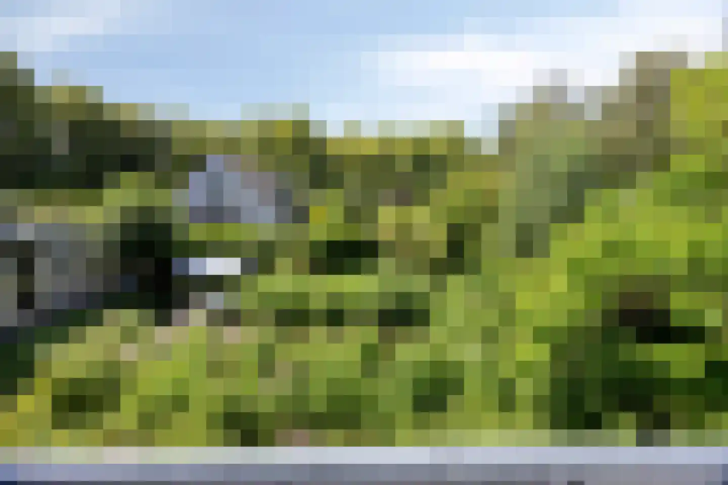 Waardsedijk 102 Oudewater thumbnail 41