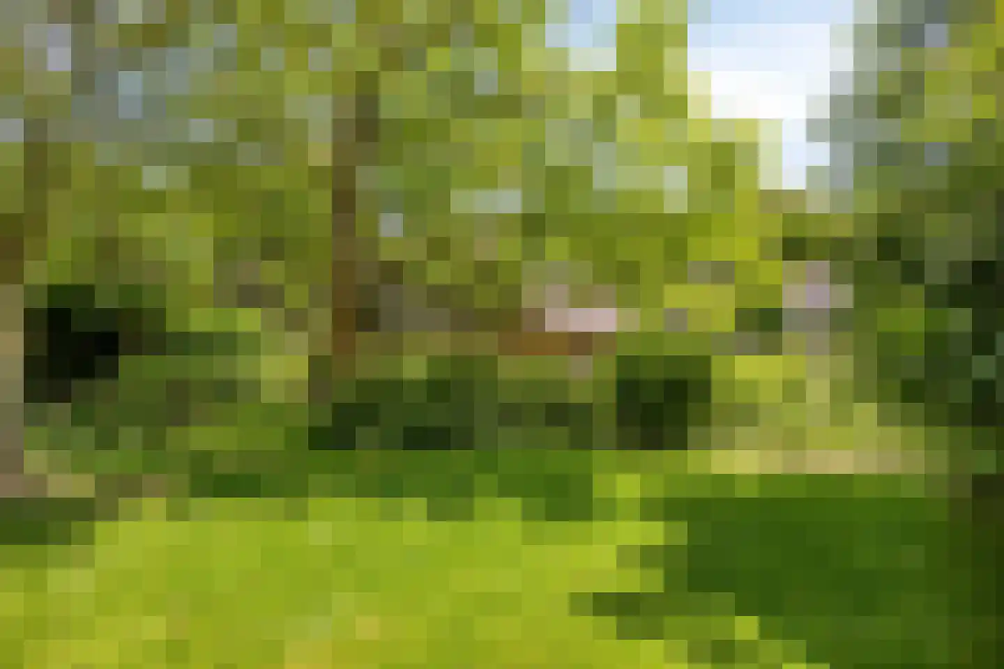Waardsedijk 102 Oudewater thumbnail 46