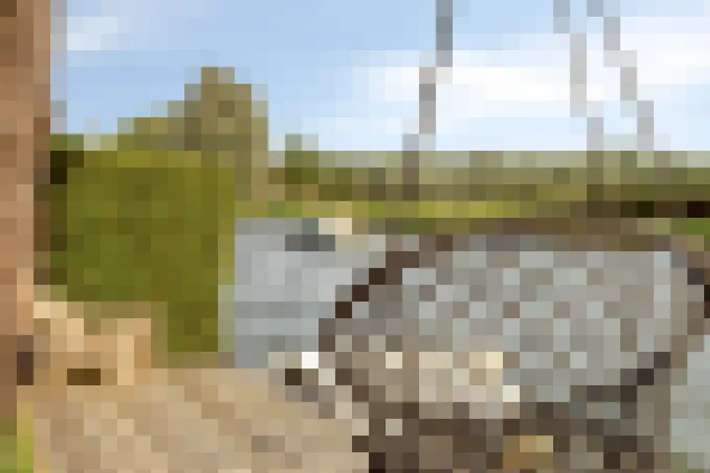 Waardsedijk 139 Snelrewaard thumbnail 24