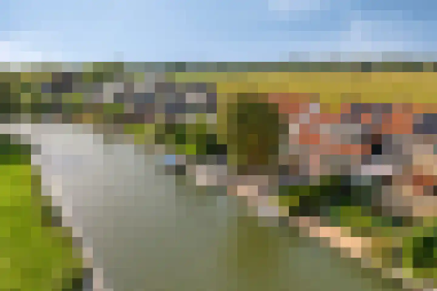 Waardsedijk 139 Snelrewaard thumbnail 45