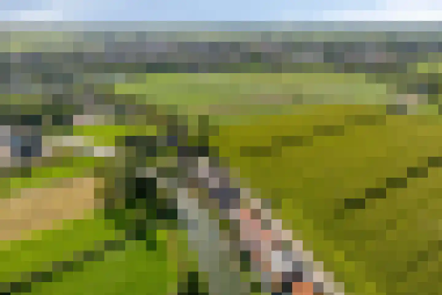 Waardsedijk 139 Snelrewaard thumbnail 47