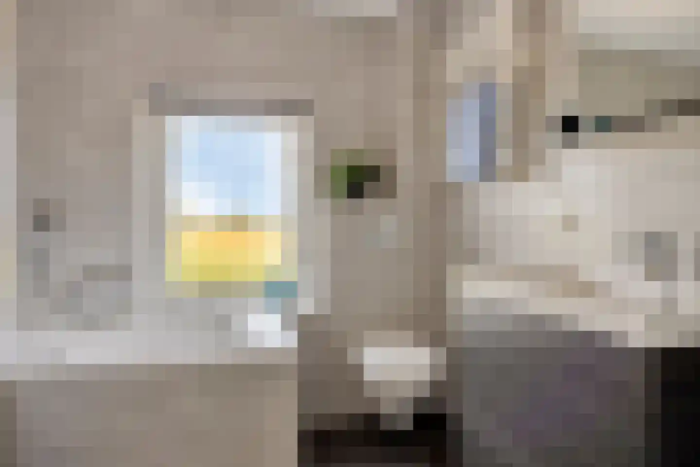 Waardsedijk 139 Snelrewaard thumbnail 7