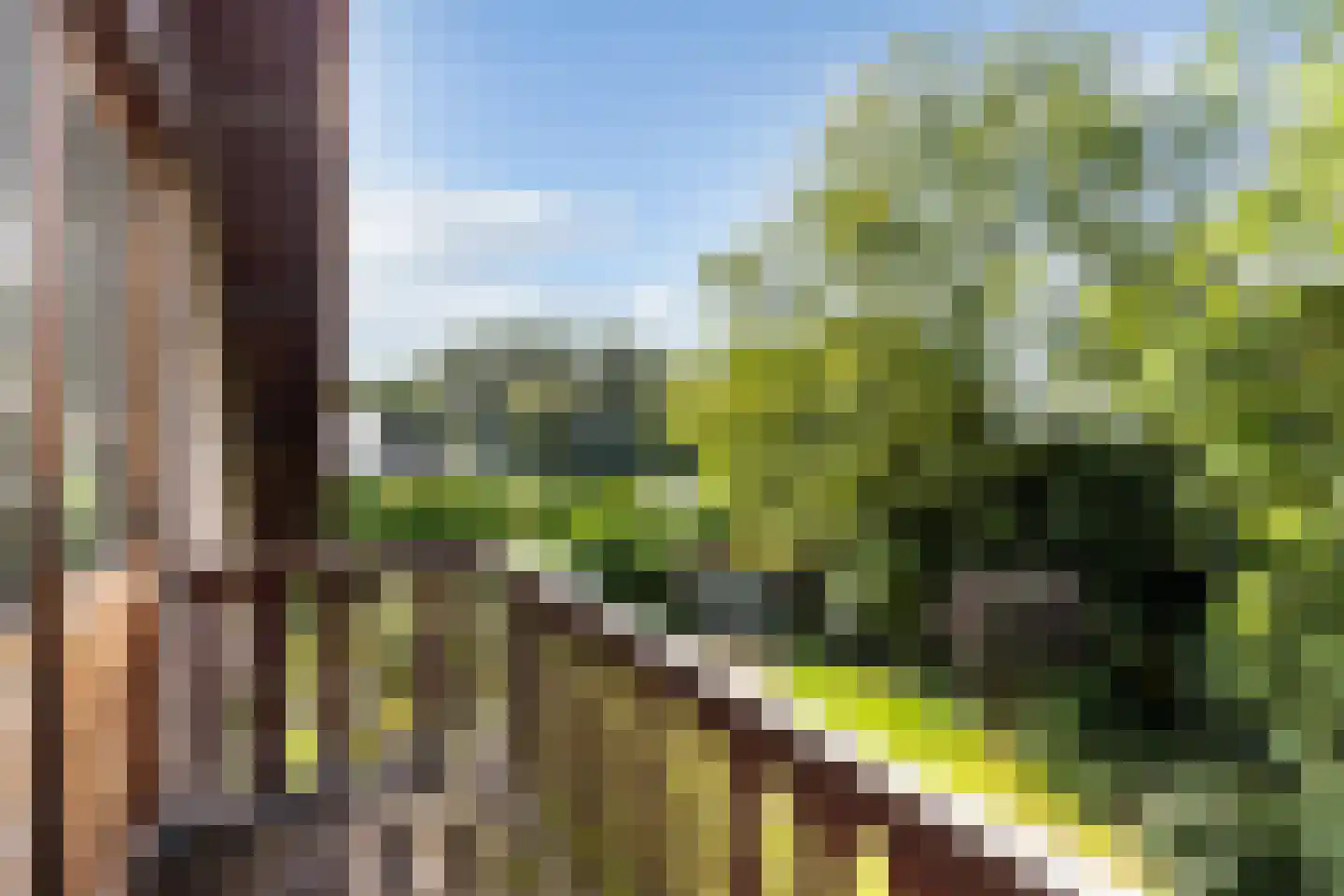 Waardsedijk 19 Woerden thumbnail 23