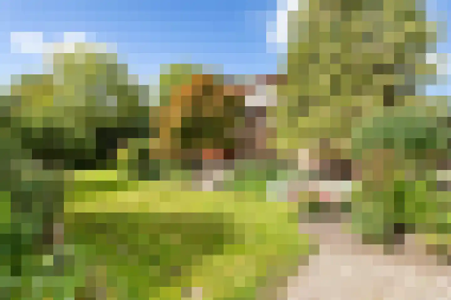 Waardsedijk 19 Woerden thumbnail 35