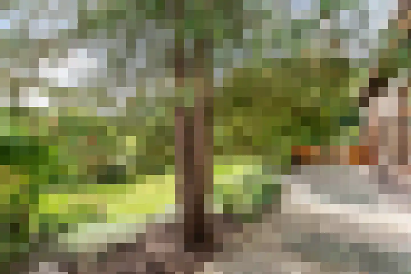 Waardsedijk 19 Woerden thumbnail 36