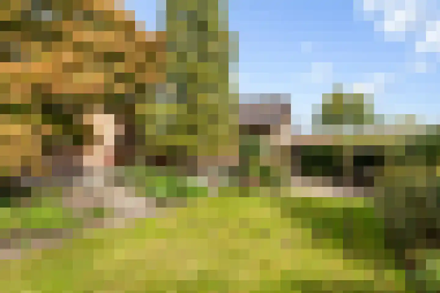 Waardsedijk 19 Woerden thumbnail 39